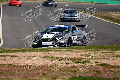 media/Feb-25-2024-Speed Ventures (Sun) [[b9a2a97a4d]]/Mustang Drivers Club/Session 3 (Turn 2)/